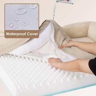 Cama Ortopédica Perro Mediano Beige