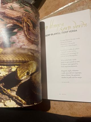 Bèsties i bestioles (peixos de riu, amfibis, rè...