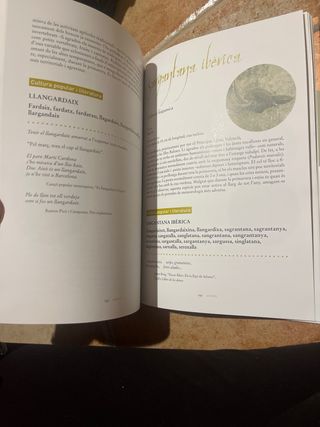 Bèsties i bestioles (peixos de riu, amfibis, rè...