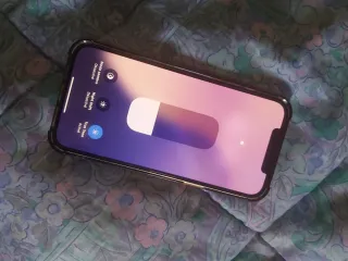 iPhone 12 Pro Max - Batería al 79%