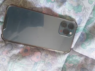 iPhone 12 Pro Max - Batería al 79%