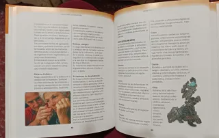 Guia practica de las medicinas alternativas