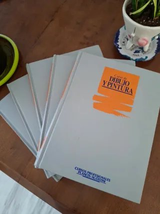 Curso de dibujo y pintura. 5 tomos.