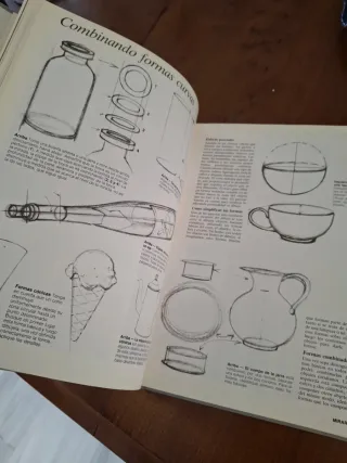 Curso de dibujo y pintura. 5 tomos.