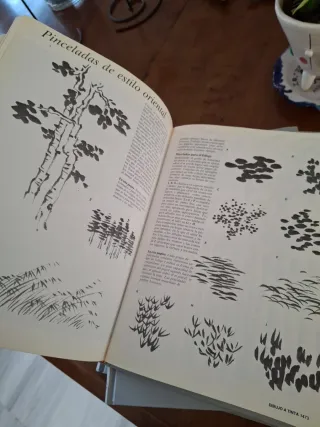 Curso de dibujo y pintura. 5 tomos.