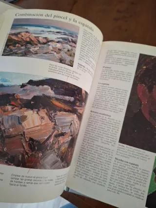 Curso de dibujo y pintura. 5 tomos.