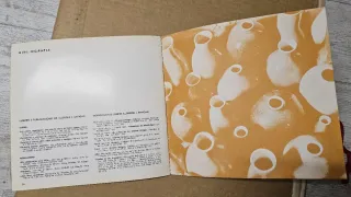 Catálogo Llorens-Artigas/Miró