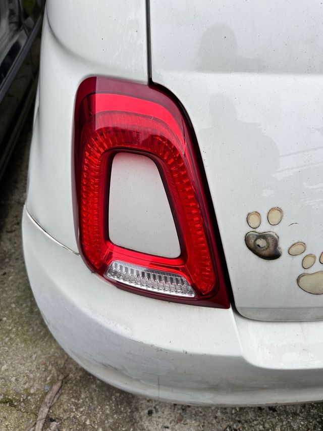 Piloto trasero izquierdo Fiat 500