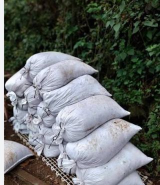 Estiércol de gallina