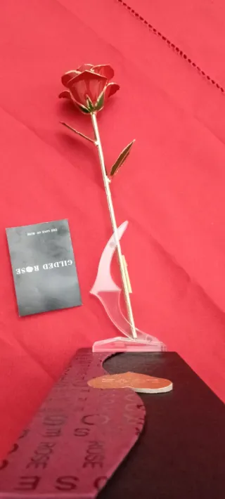 Rosa de Oro Gilded Rose