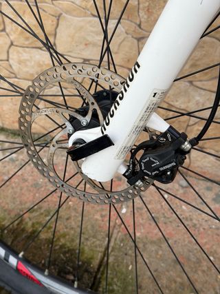 GRAN BICICLETA ORBEA ALMA H70