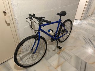 Bicicleta Azul Montaña