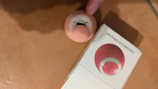 Palla rotante gravitazionale per gatti