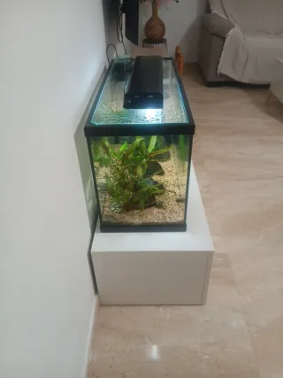 Acuario 100L