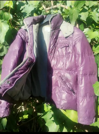 Piumino Marlboro Classics Viola