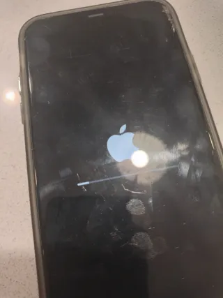 iPhone 11 Apple