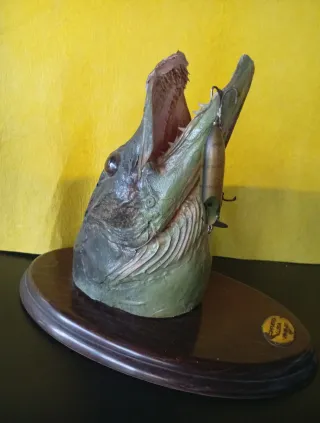 Señuelo Abu Hi-Lo Suecia Patent + figura pez