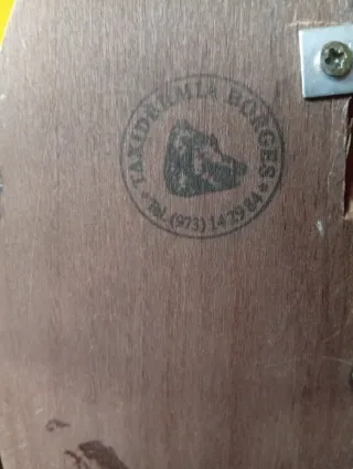 Señuelo Abu Hi-Lo Suecia Patent + figura pez