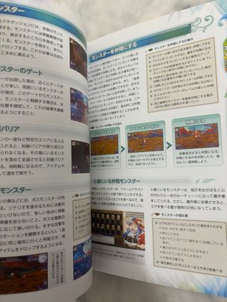 Guide Rune Factory 5 Switch JP