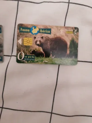 Tarjetas Fauna Ibérica Colección