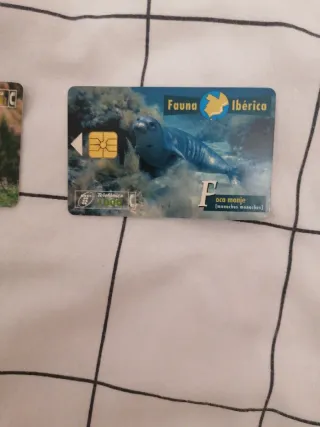 Tarjetas Fauna Ibérica Colección