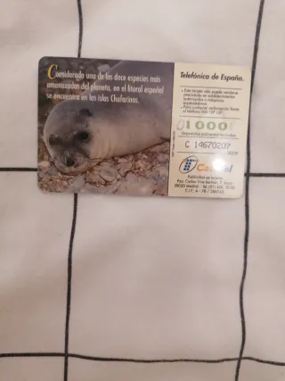 Tarjetas Fauna Ibérica Colección