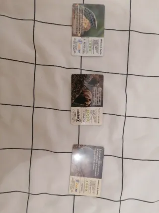 Tarjetas Fauna Ibérica Colección