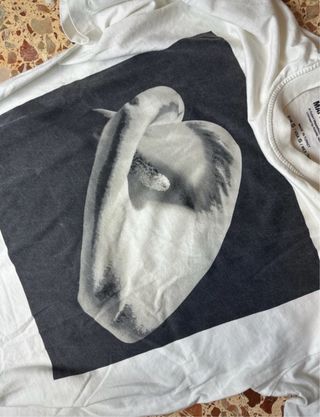 Camiseta Pull&Bear Estampada Robert Mapplethorpe