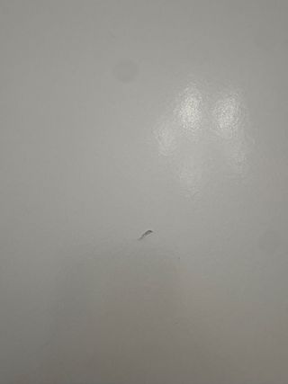 Mesa extensible Rosentorp de Ikea