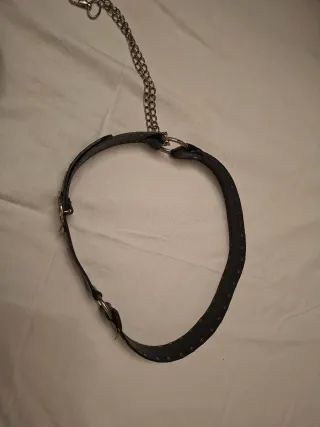 Cintura stile animalier con borchie