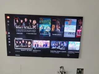 Reparaciones y montaje "manitas"