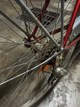 Bicicleta Paseo Mujer 5 Velocidades