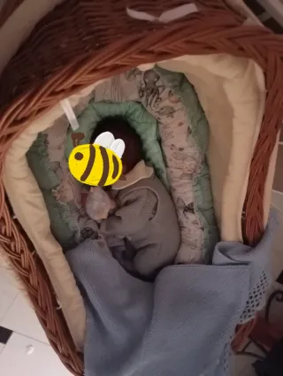 Moisés de mimbre para bebé