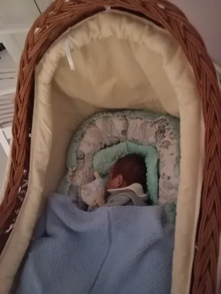 Moisés de mimbre para bebé