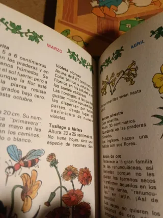 Lote Biblioteca Jóvenes Castores