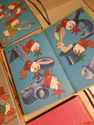 Lote Biblioteca Jóvenes Castores