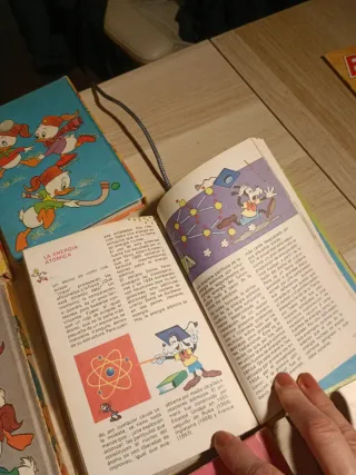 Lote Biblioteca Jóvenes Castores