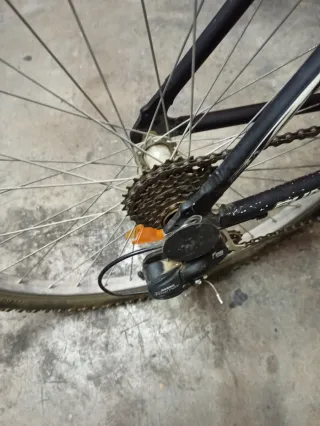 Bicicleta de Montaña