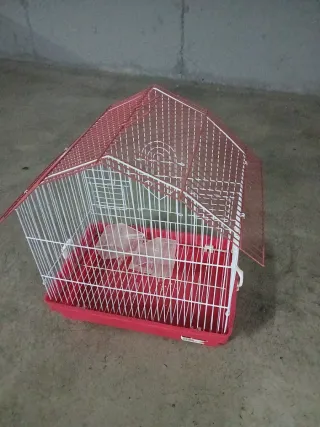 Jaula para pájaros nueva