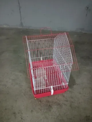 Jaula para pájaros nueva
