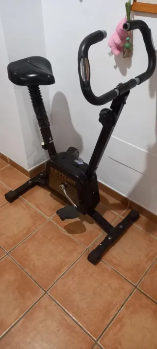 Bicicleta Spinning Kettler Trophy