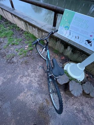 Bicicleta infantil negra