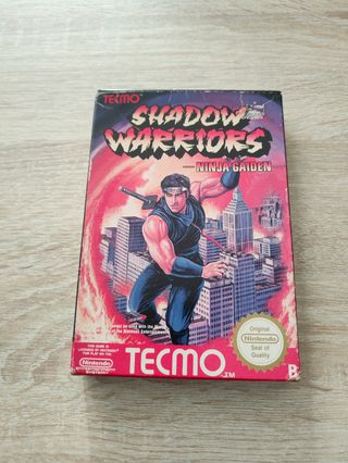 Shadow Warriors Ninja Gaiden NES