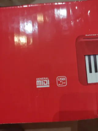 Teclado Casio Casiotone Rojo