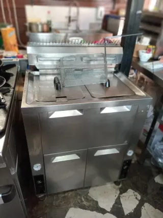 Freidora Profesional 2 Cestas Acero Inoxidable