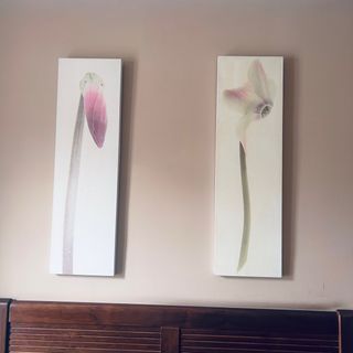 Conjunto de 2 cuadros florales grandes y 3 peqpequ