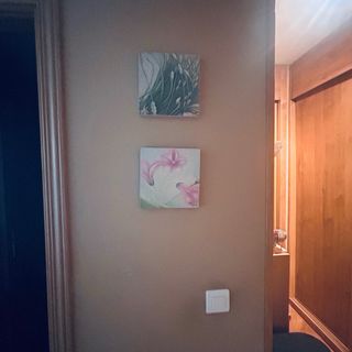 Conjunto de 2 cuadros florales grandes y 3 peqpequ