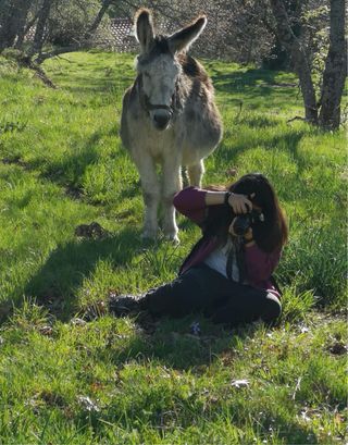 Paseador / Cuidador / Adiestrador de perros