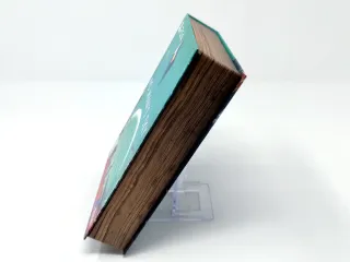 No Man’s Sky (Edición Limitada) PS4 (ESP)