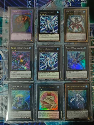 Carte Shark e Accessori Yu-Gi-Oh!
